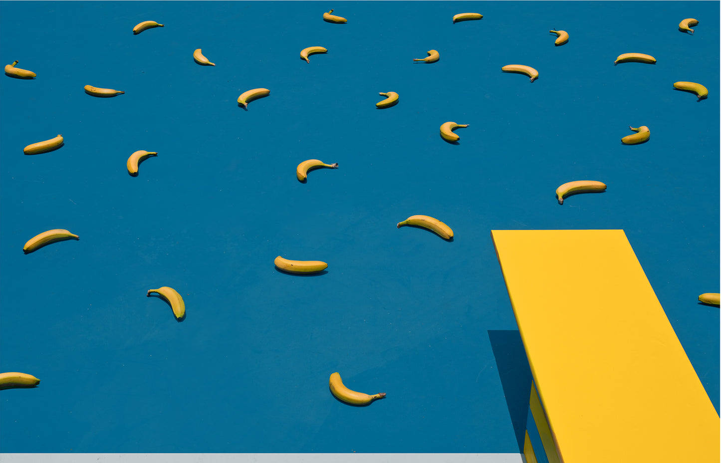 Gone bananas